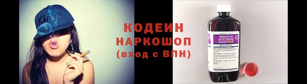 МДПВ Каменка