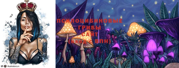 гидра Иннополис
