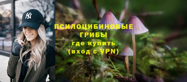 соль ск Каменногорск